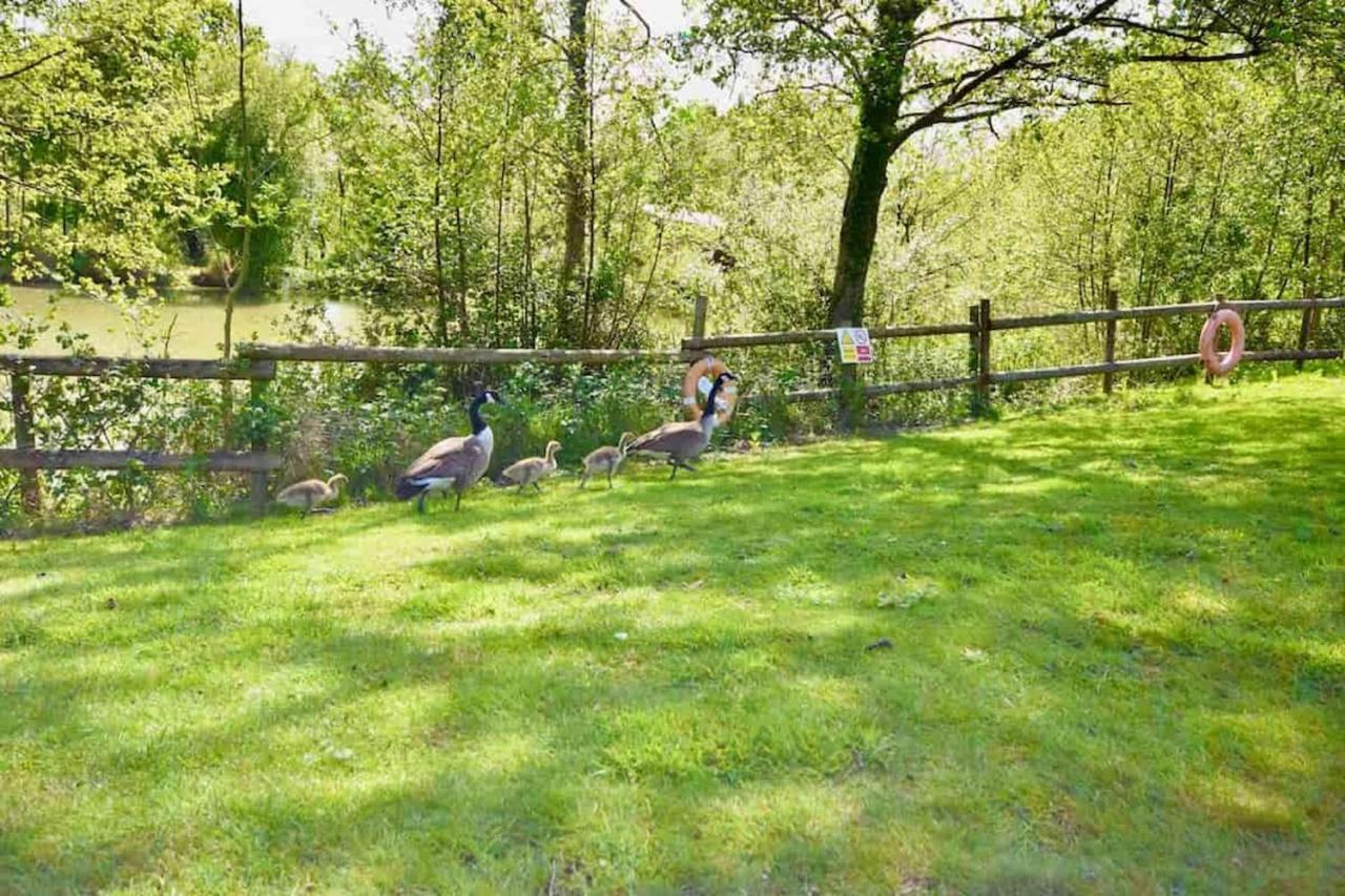E7 Roebeck Country Park Villa Ryde  Buitenkant foto